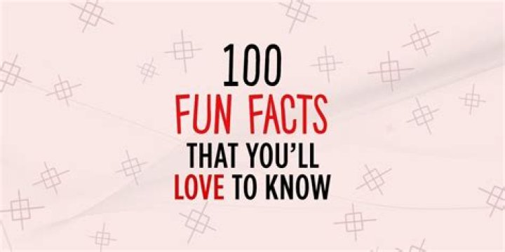 Kim Weitsman: 10 Facts To Know About